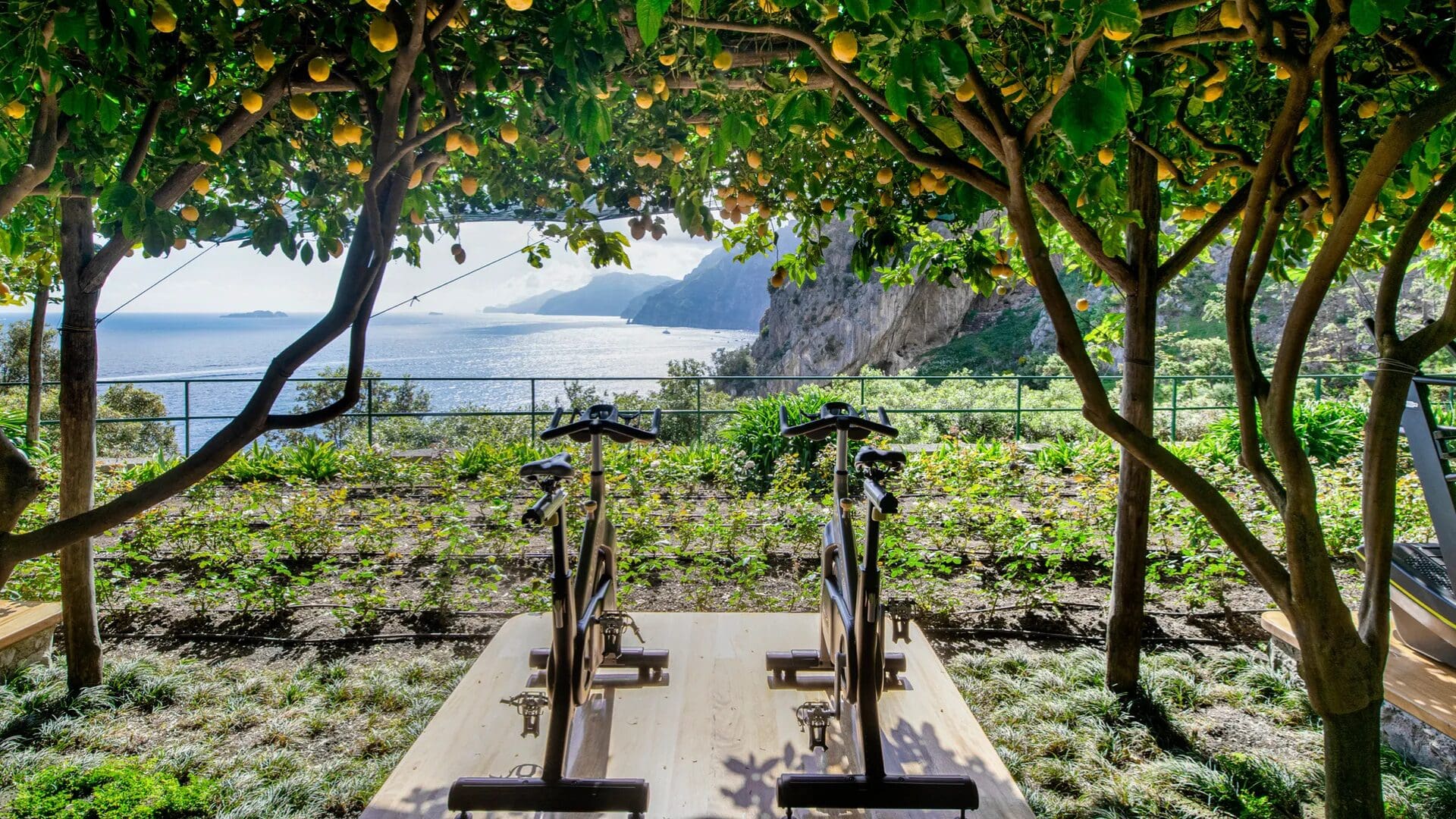 Outdoor exercise bikes positioned beneath lemon trees at Il San Pietro di Positano, overlooking the Amalfi Coast with sweeping sea and cliff views.